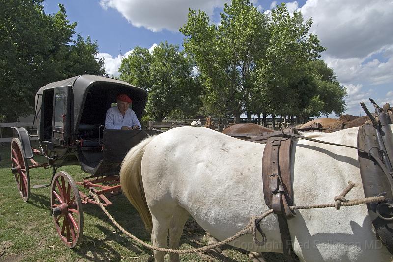 20071202_150529  D2X 4000x2667.jpg - Horse drawn coach, Estancia Mateo